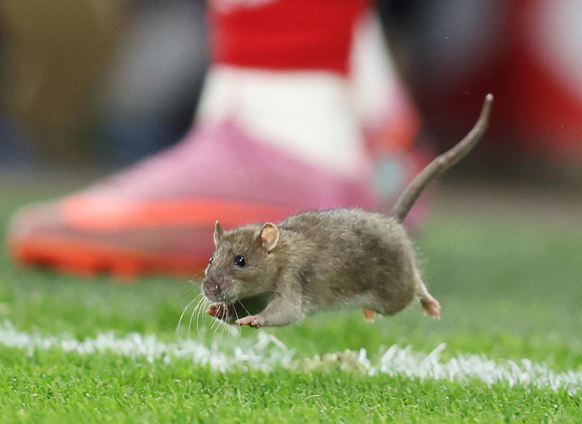 有严重的问, 布伦南